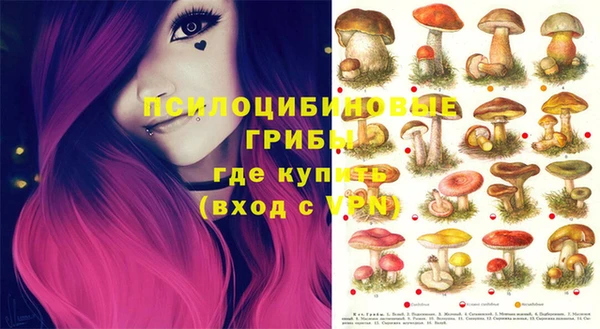 спайс Балахна