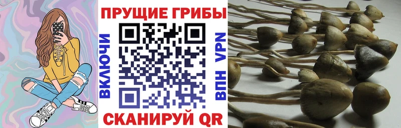 Галлюциногенные грибы MAGIC MUSHROOMS  Городовиковск 